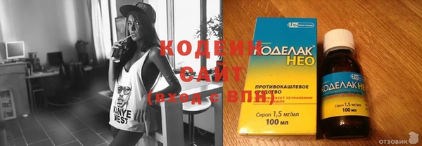 шишки Богородицк
