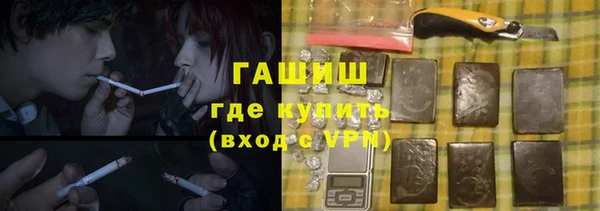 шишки Богородицк