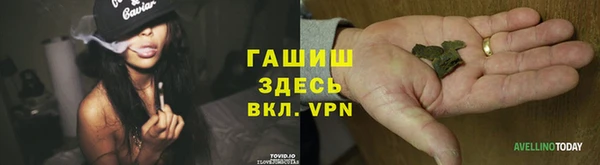 шишки Богородицк