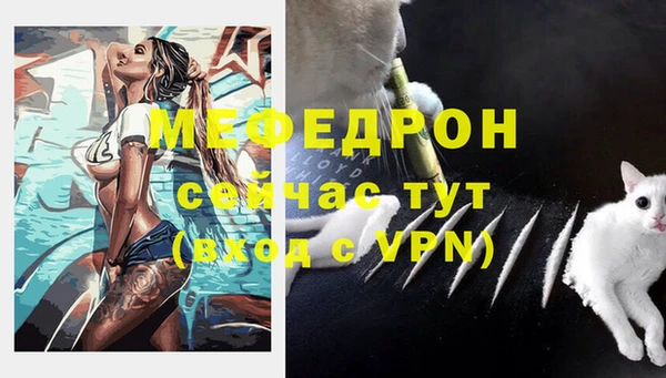 шишки Богородицк