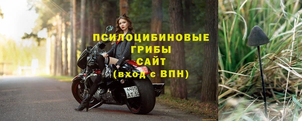 шишки Богородицк
