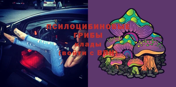 шишки Богородицк