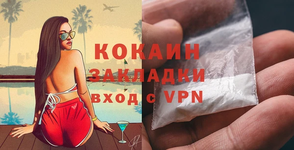 шишки Богородицк