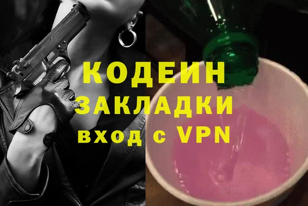 шишки Богородицк