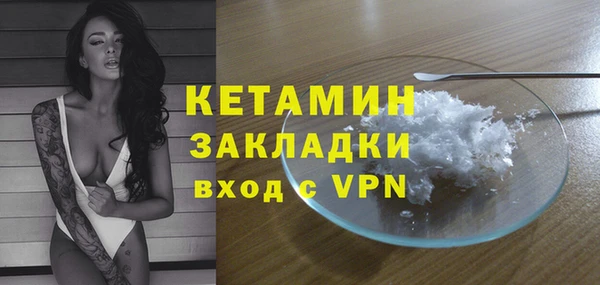 шишки Богородицк
