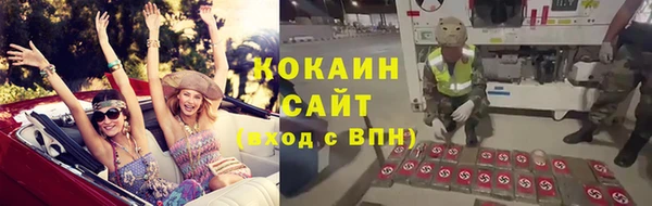 шишки Богородицк