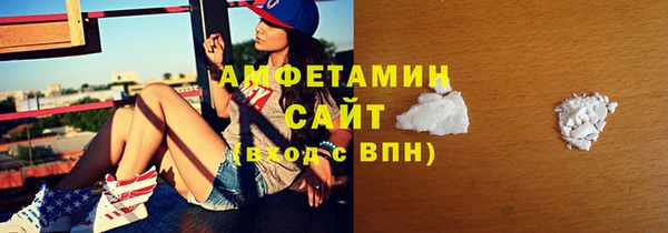 шишки Богородицк